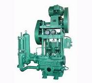 CDS Series Marine Electrical Reciprocating Pump