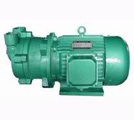 CSK Series Marine Water Circulation Vacuum Pump