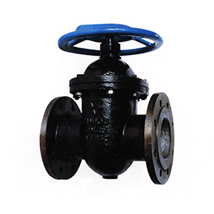 Gate Valve Type 2